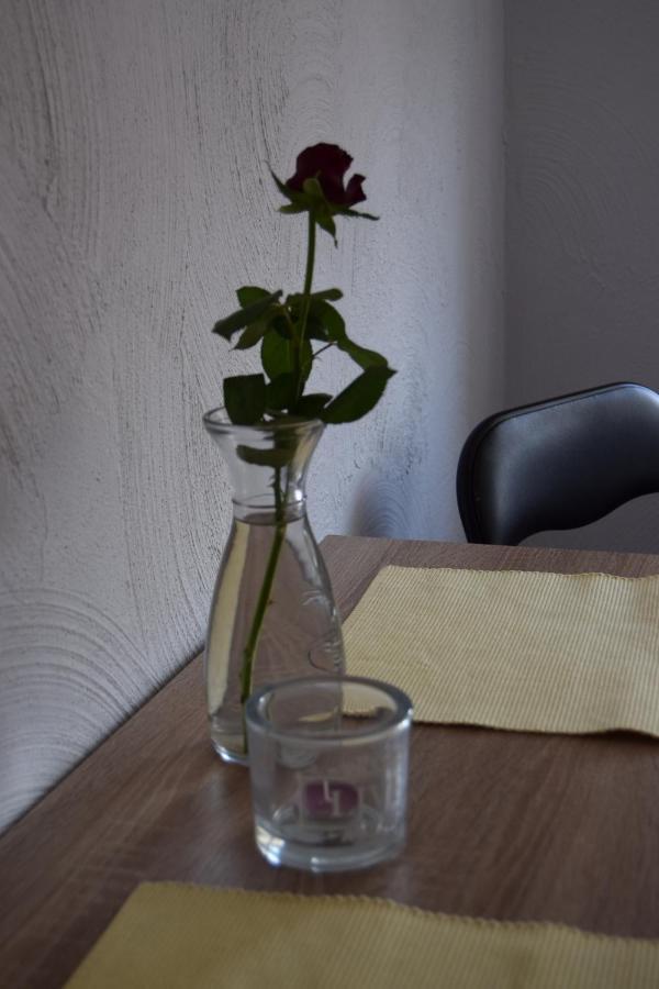 Apartamenty Hejszowina Kudowa-Zdroj Dış mekan fotoğraf
