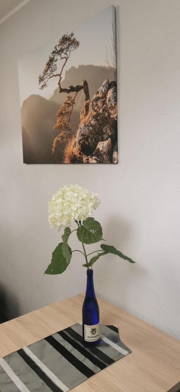 Apartamenty Hejszowina Kudowa-Zdroj Dış mekan fotoğraf